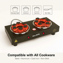 Wellberg 2000W Double Burner Electric Cooktop with Separate On/Off Switch, Stainless Steel Coil Plates, Dual Heating Slow Cooking Stove, Portable Hot Plate for Home & Office